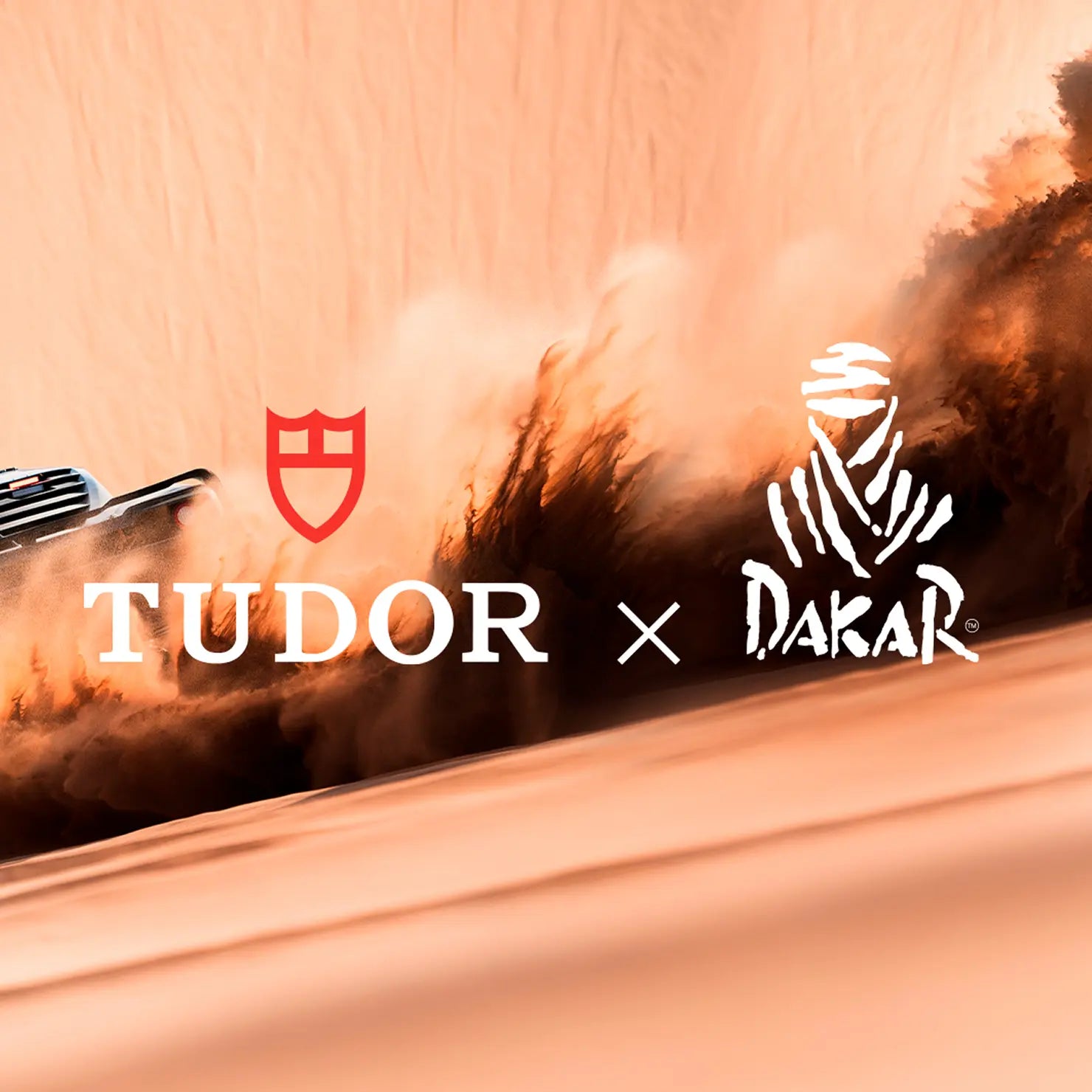 DAKAR RALLYE 2025 DAKAR RALLYE 2025