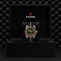 Black Bay GMT S&G Black Bay GMT S&G