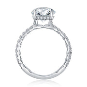 14k White Gold Diamond band and Hidden Halo Engagement Ring Mounting