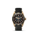Black Bay Bronze