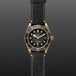 Black Bay Bronze