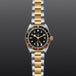 Black Bay GMT S&G