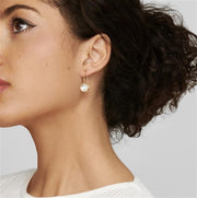 Ippolita - Lollipop Small Single Drop Earrings - 18k Yellow Gold in Mother-of-Pearl